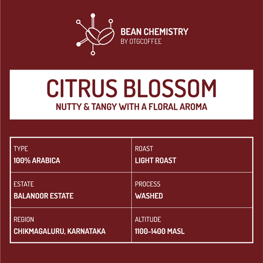 CITRUS BLOSSOM (Limited lot of 4kg) - Bean Chemistry